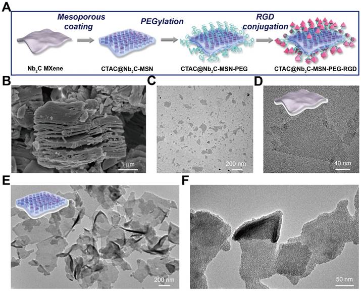 Theranostics Image