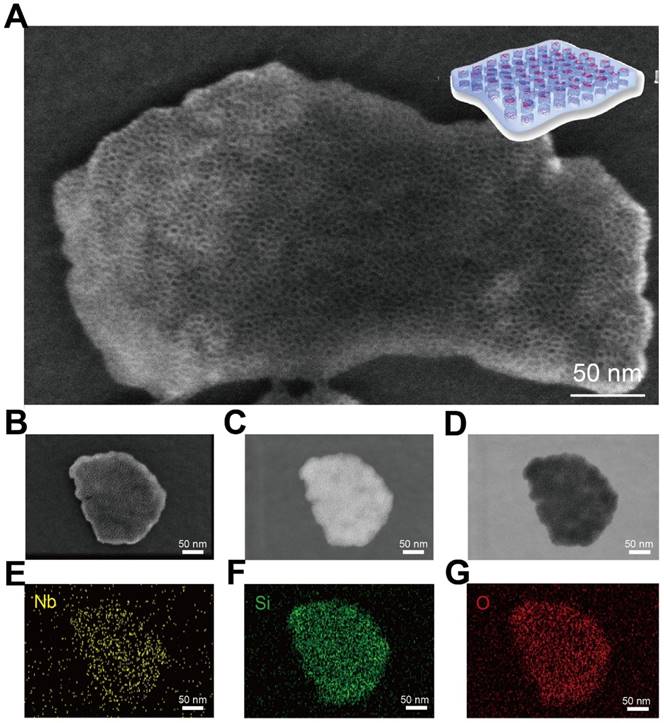 Theranostics Image