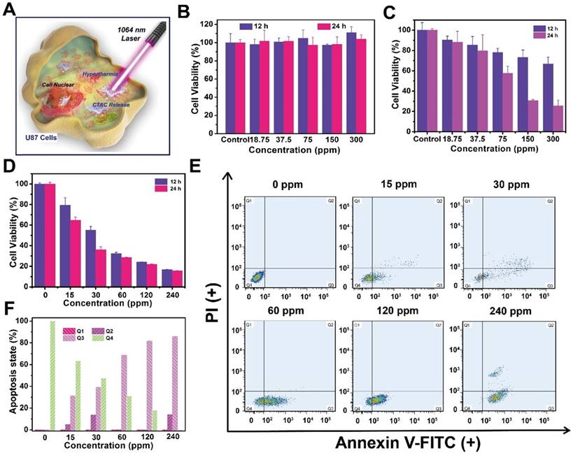 Theranostics Image