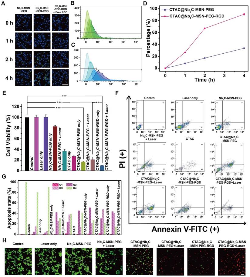 Theranostics Image