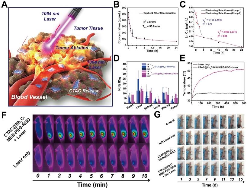 Theranostics Image