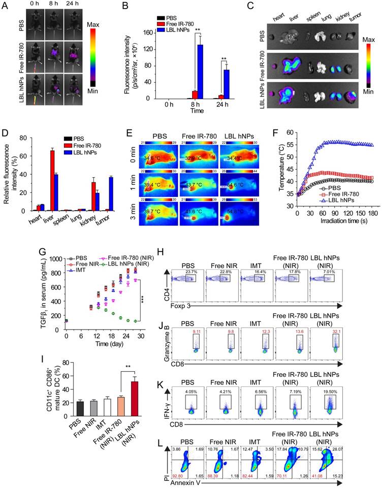 Theranostics Image