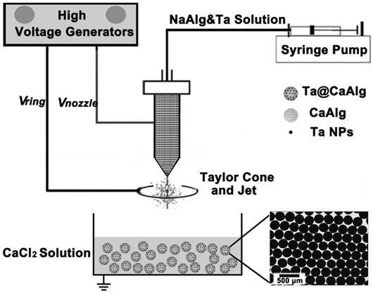 Theranostics Image