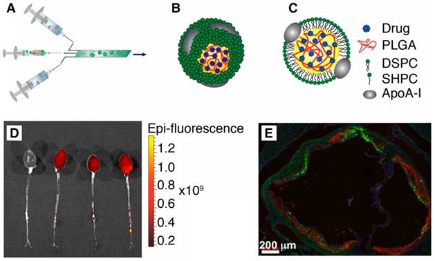 Theranostics Image