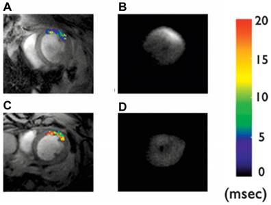 Theranostics Image