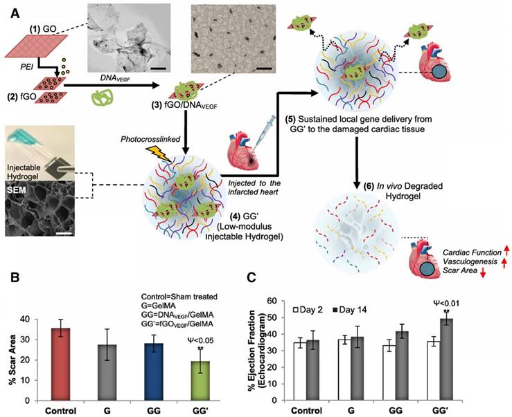 Theranostics Image