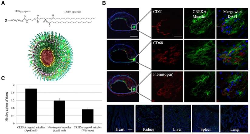 Theranostics Image