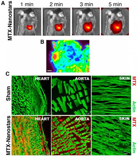 Theranostics Image