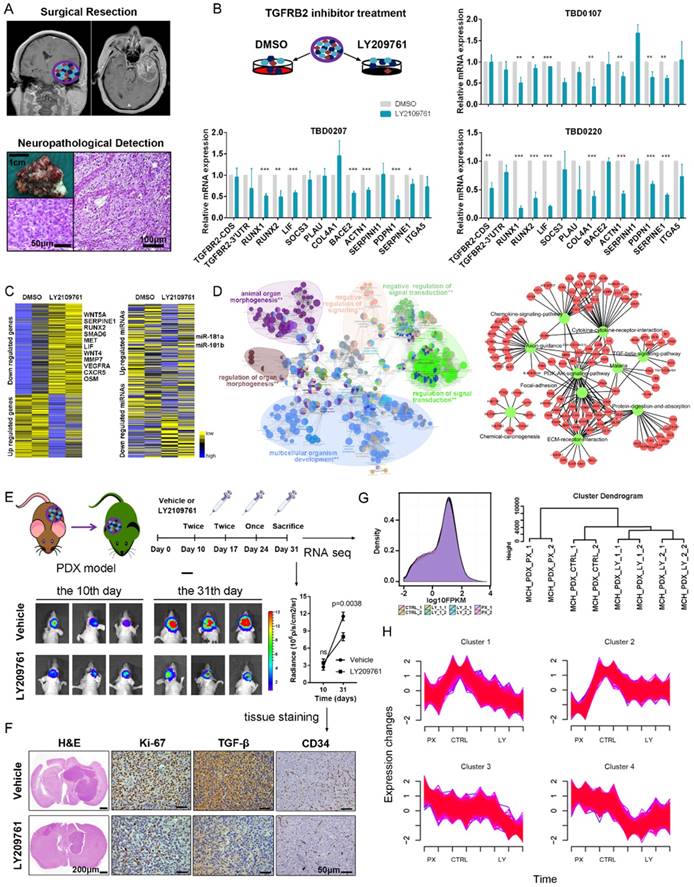 Theranostics Image