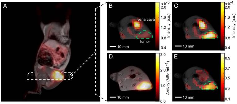 Theranostics Image