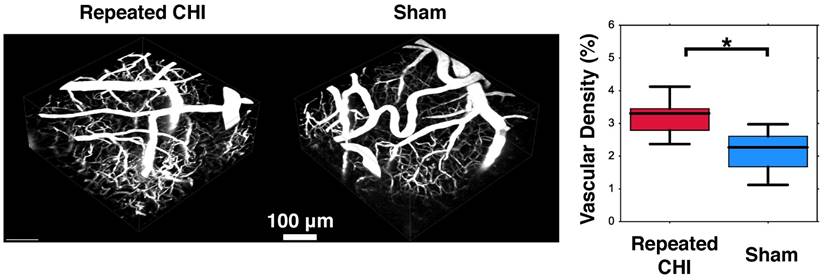 Theranostics Image