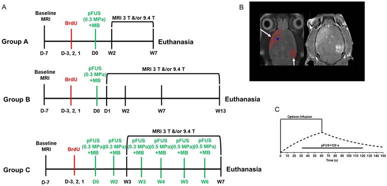 Theranostics Image