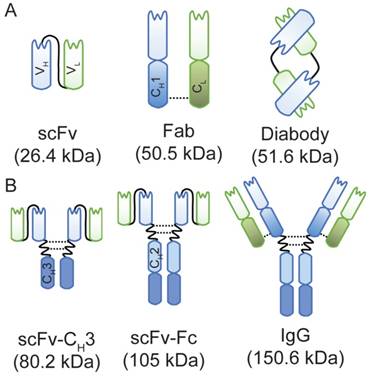 Theranostics Image