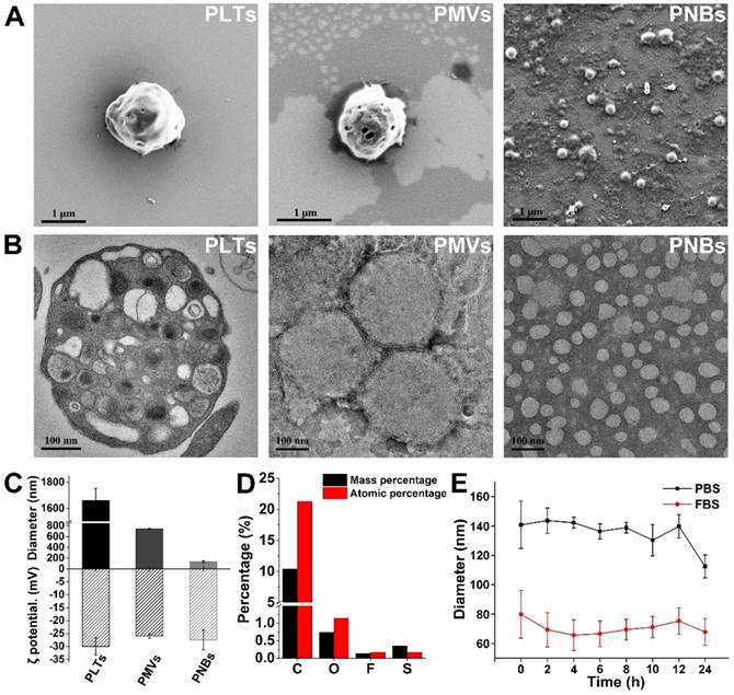 Theranostics Image