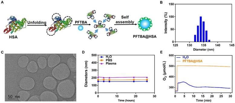 Theranostics Image