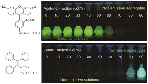 Theranostics Image