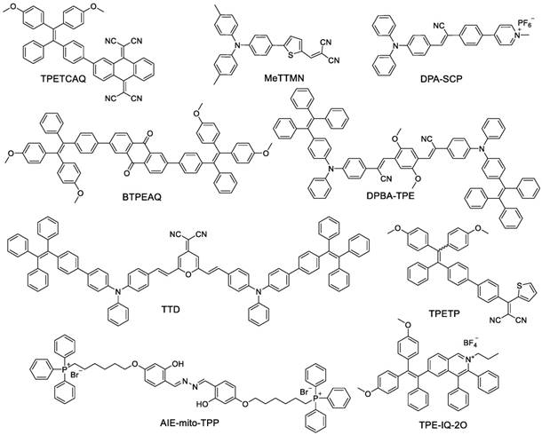 Theranostics Image