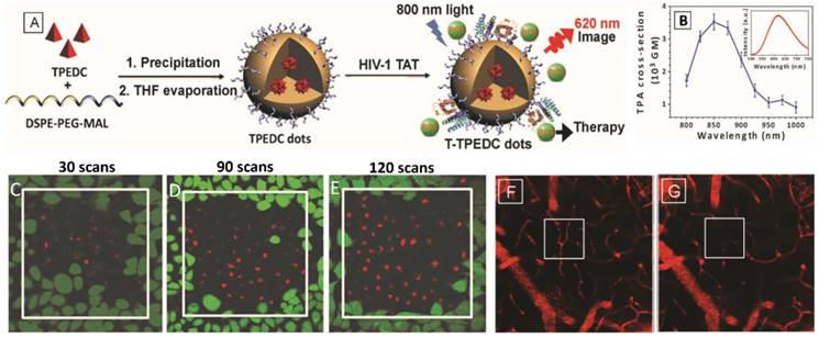 Theranostics Image