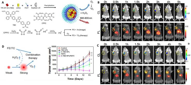 Theranostics Image