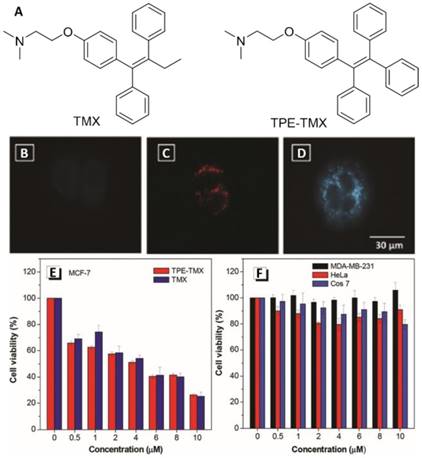 Theranostics Image