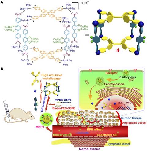 Theranostics Image