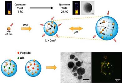 Theranostics Image