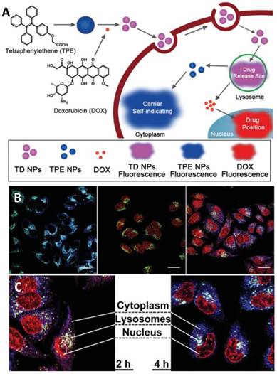 Theranostics Image