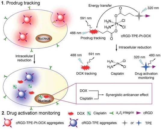 Theranostics Image