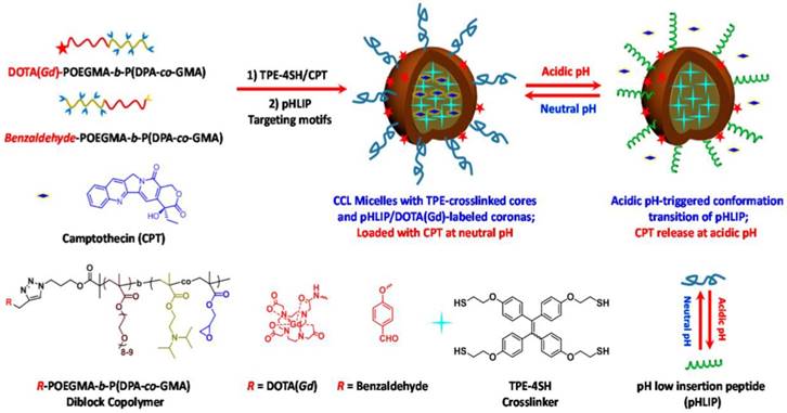 Theranostics Image