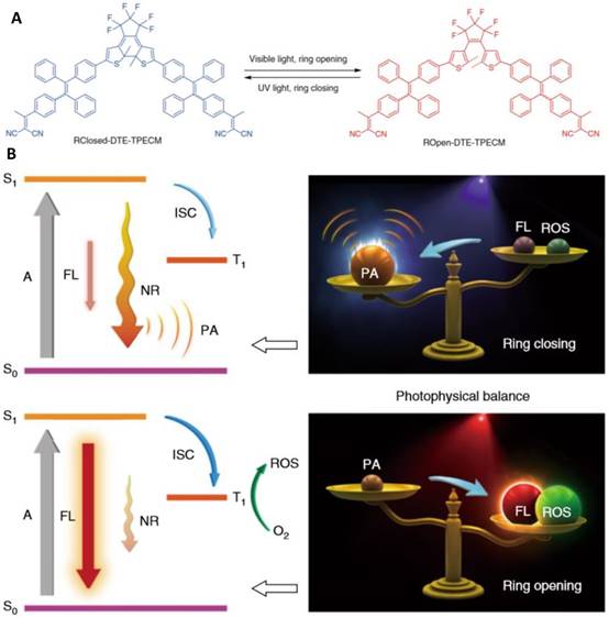 Theranostics Image