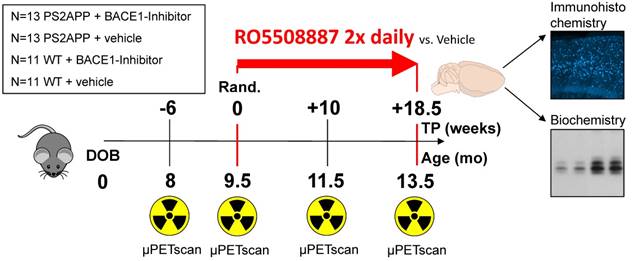 Theranostics Image