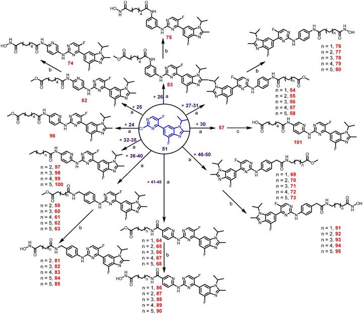 Theranostics Image