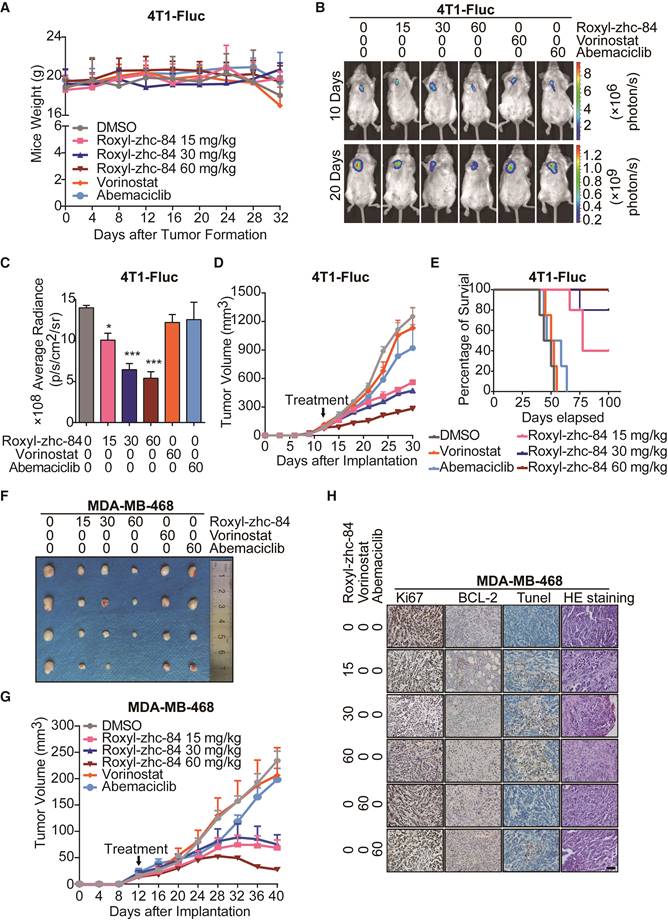 Theranostics Image