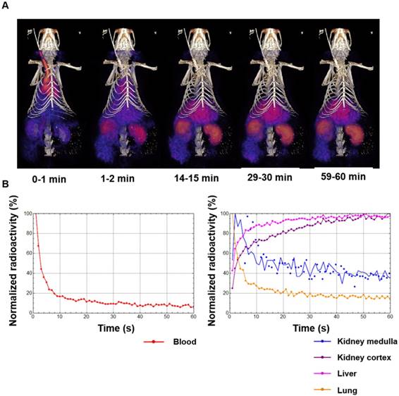 Theranostics Image