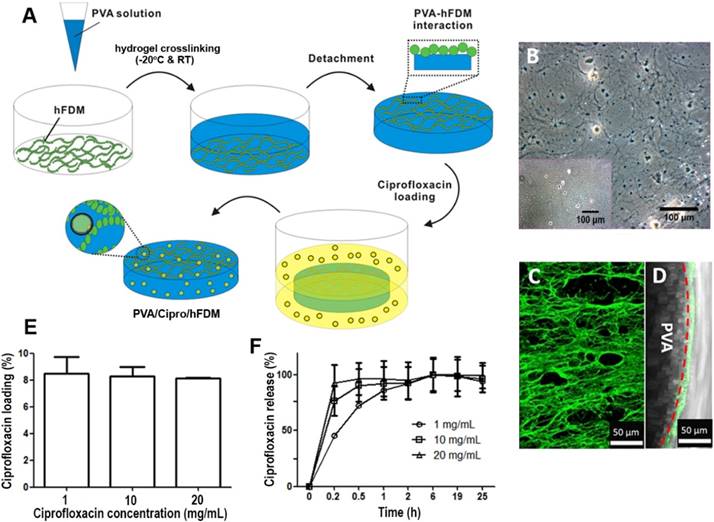 Theranostics Image