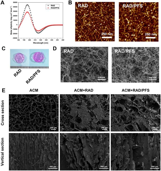 Theranostics Image