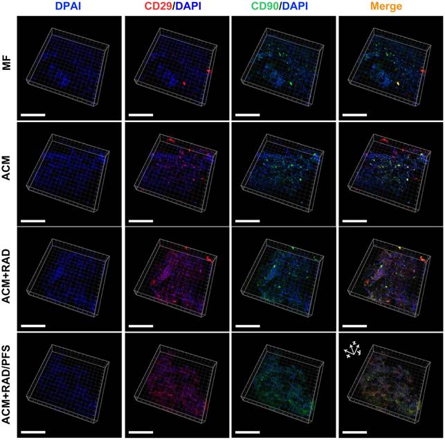 Theranostics Image