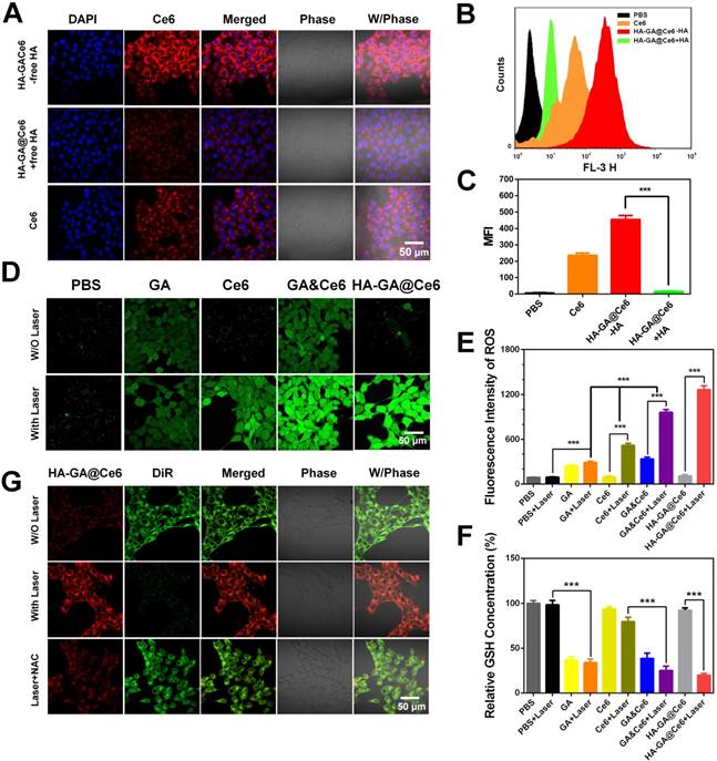 Theranostics Image