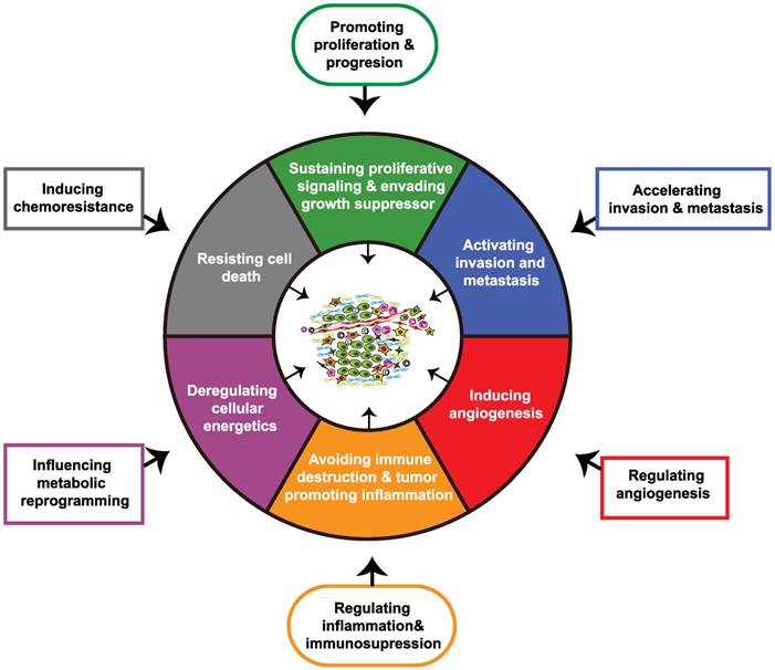 Theranostics Image