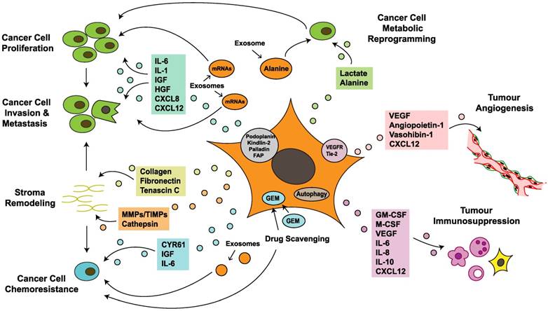 Theranostics Image