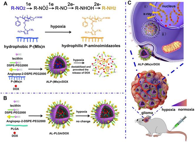 Theranostics Image