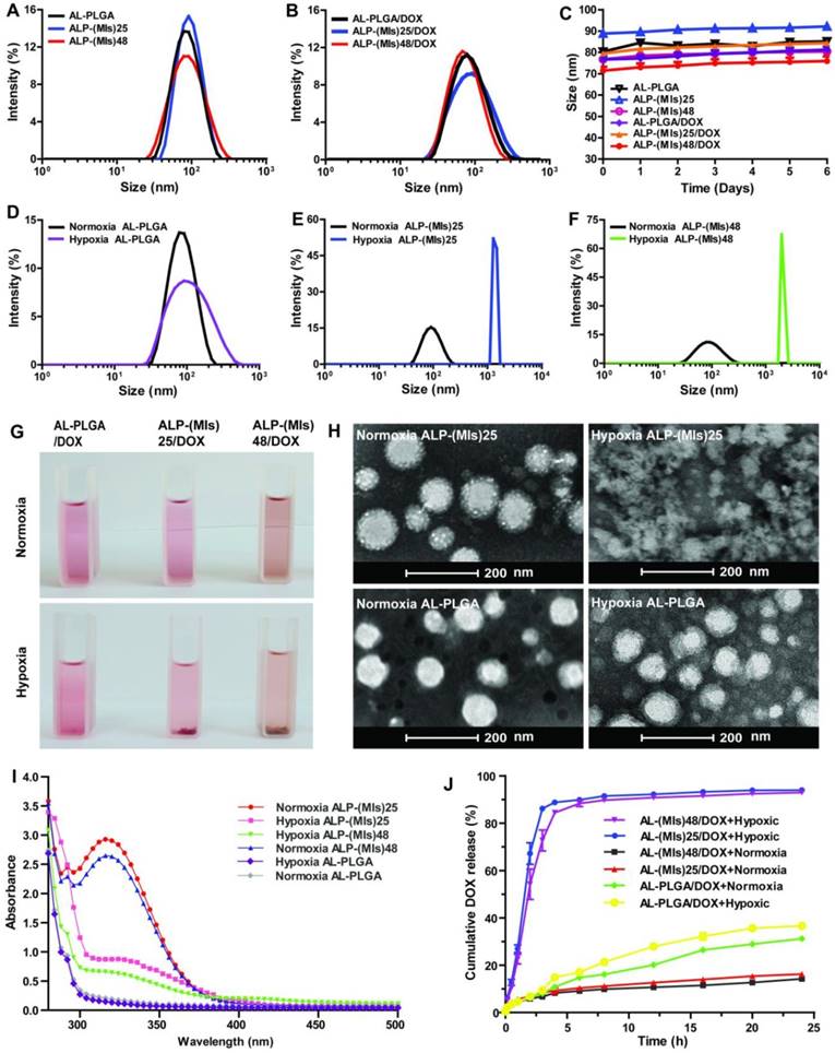 Theranostics Image