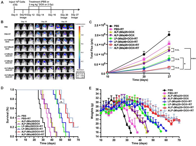 Theranostics Image