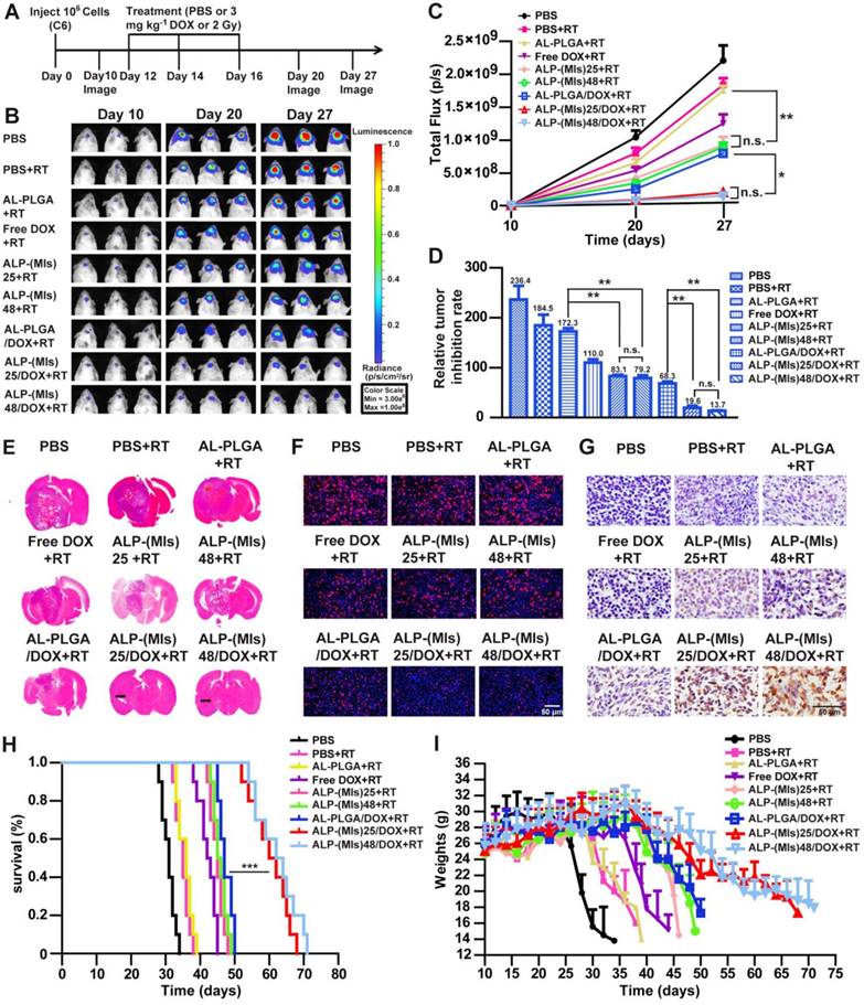 Theranostics Image