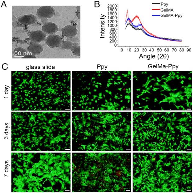 Theranostics Image