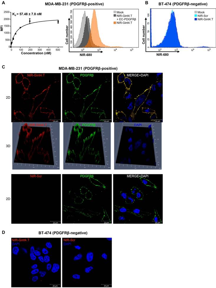 Theranostics Image