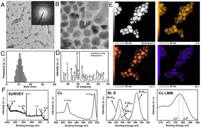 Theranostics Image