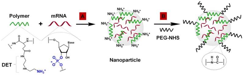 Theranostics Image