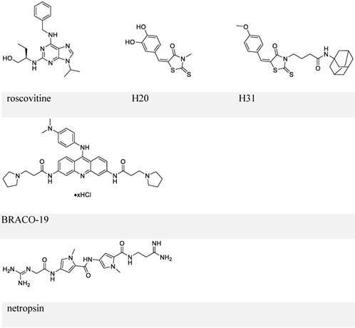 Theranostics Image