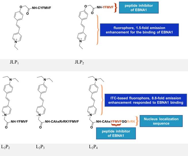 Theranostics Image